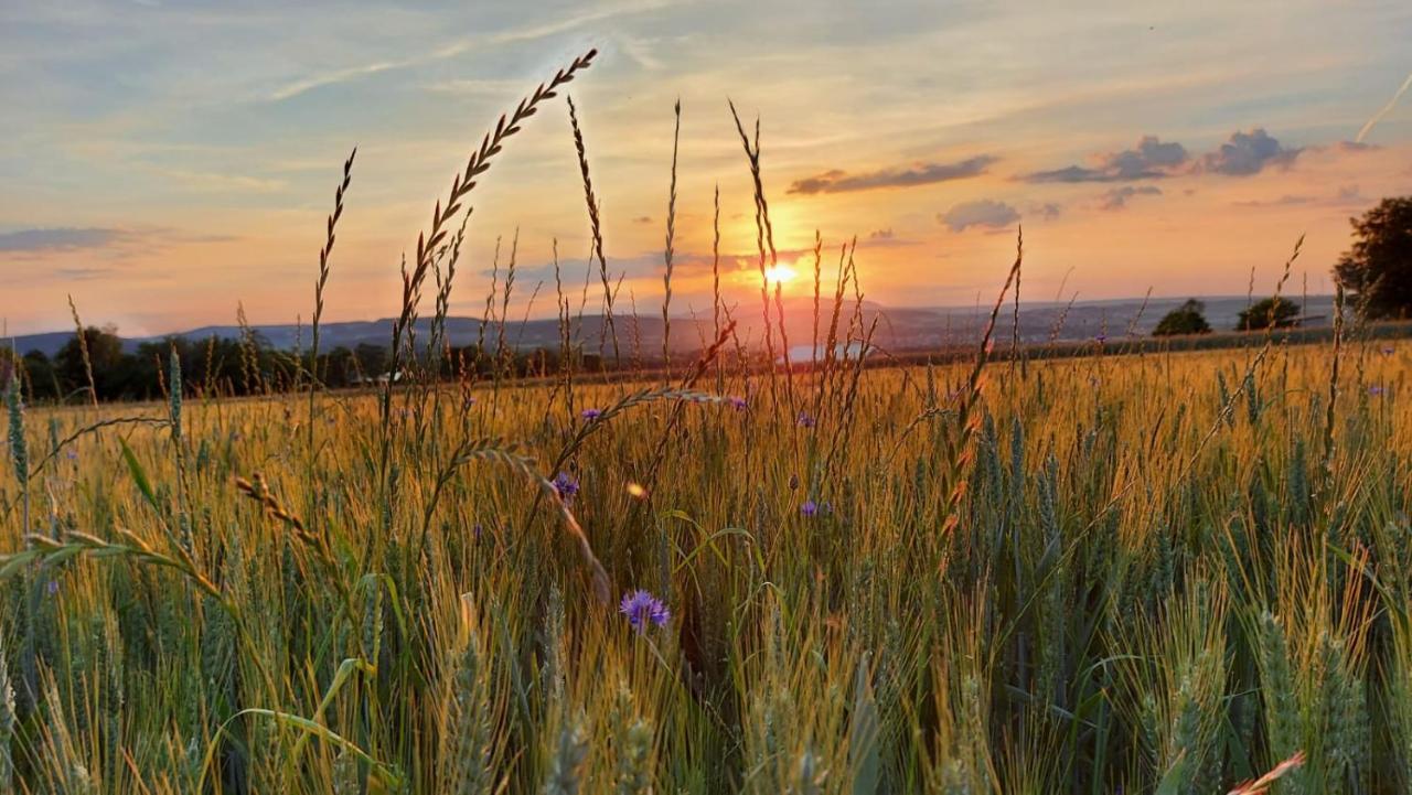 דירות Tiefenthal Karibu מראה חיצוני תמונה